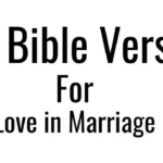 10 Bible Verses for Love in Marriage – Find Hope Today